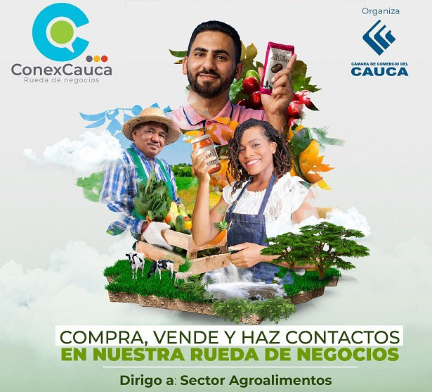 ConexCauca01