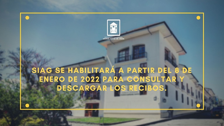 Descarga de recibos de matrícula
