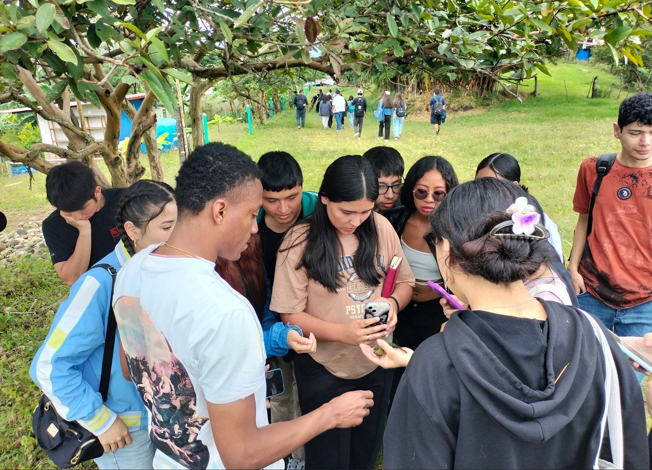 Aulas Vivas IP 2025