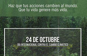 Día Internacional Contra el Cambio Climático.