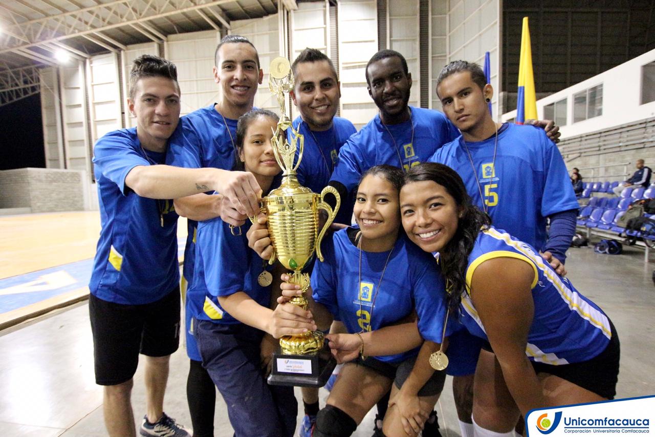 voleibol 2019